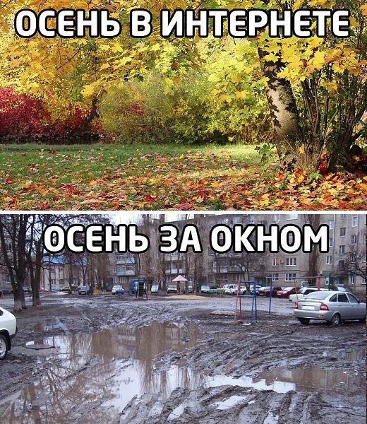 Деревья без листьев, вы без долгов!