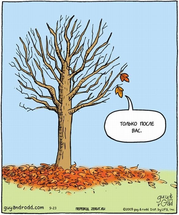 Успеть до первого снега!